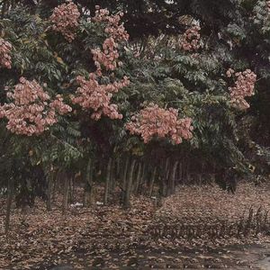 关于美女色色的非法网站
